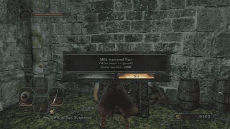 PSA: Don't kill Pate when you first meet him. : r/DarkSouls2 .